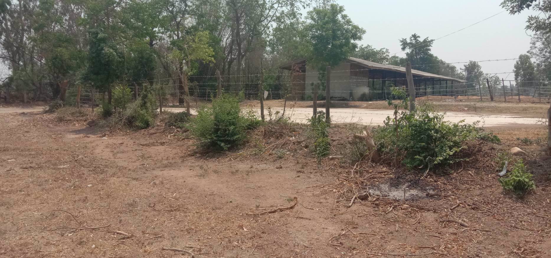 ขายถูก-ด่วน-ที่ดินเนื้อที่-29ไร่กว่า