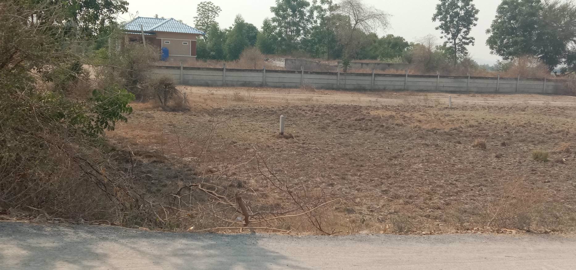 ขายถูก-ด่วน-ที่ดินเนื้อที่-29ไร่กว่า