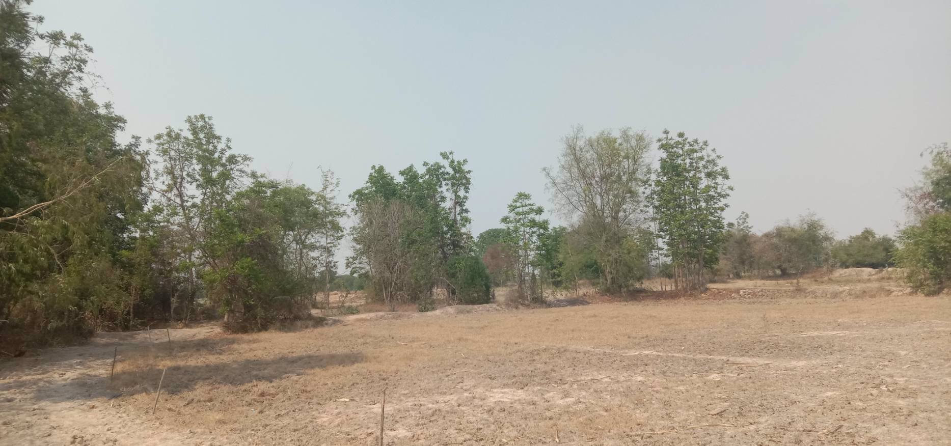 ขายถูก-ด่วน-ที่ดินเนื้อที่-29ไร่กว่า