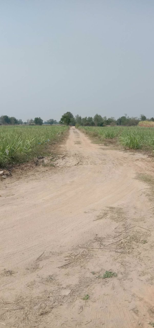 ขายถูก-ด่วน-ที่ดินเนื้อที่-29ไร่กว่า