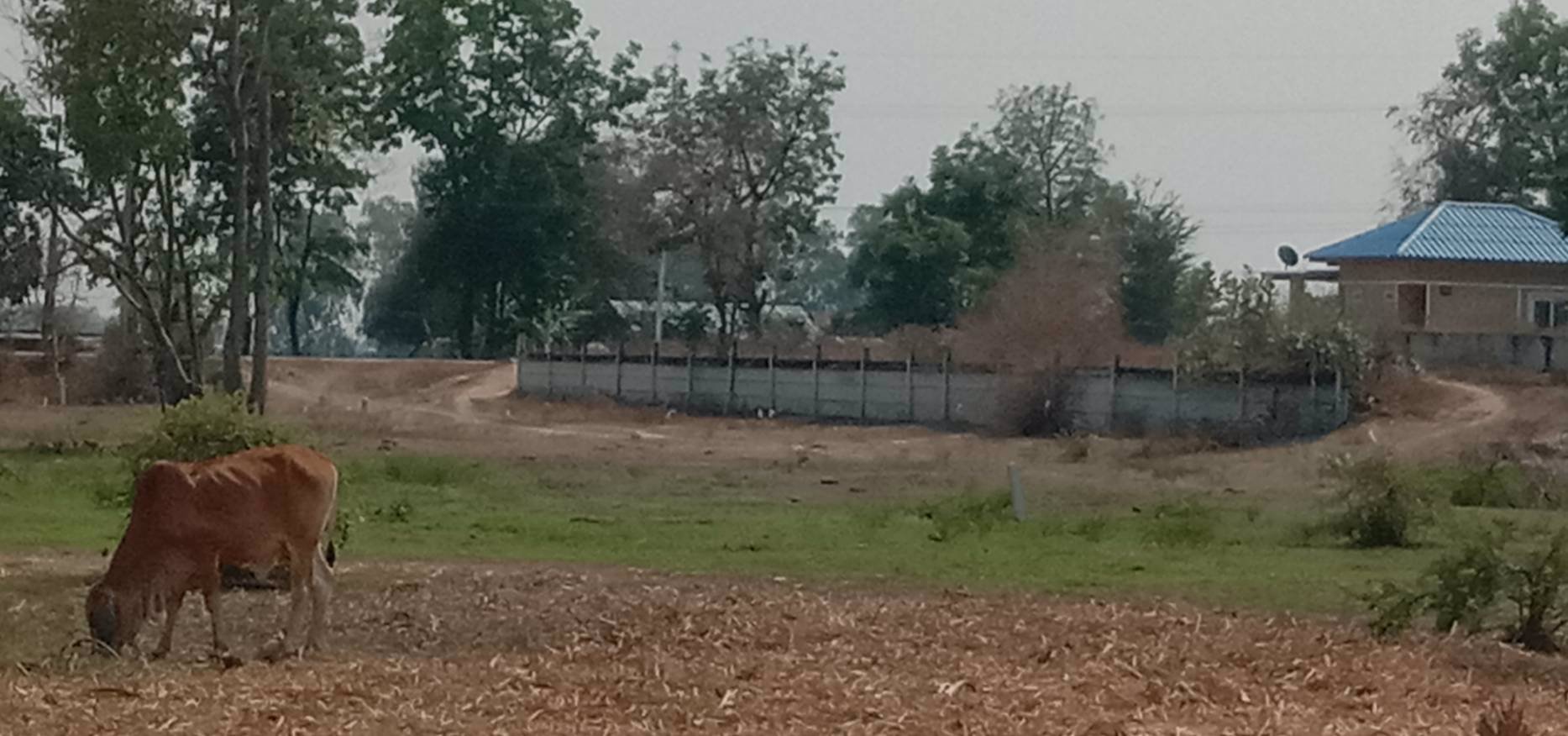 ขายถูก-ด่วน-ที่ดินเนื้อที่-29ไร่กว่า