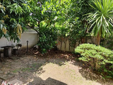 เจ้าของขายเอง-ขายบ้านพร้อมอยู่-ขายบ้านเดี่ยว-ปิ่นเกล้า-วงแหวน-ลด-4-แสน-379-ล้าน-569-ตรว-ถึงกย