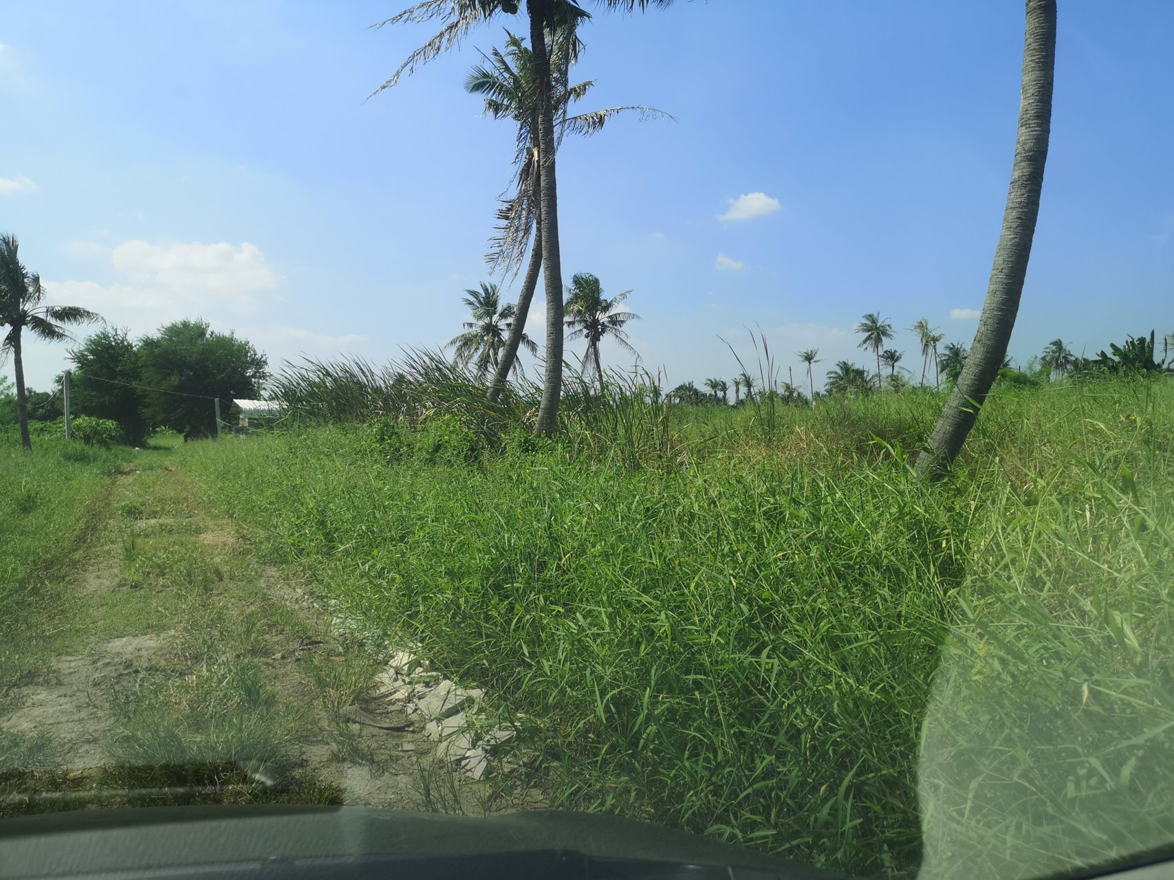 ขายที่ดินเปล่า-200-ตรว-บางกระทึก