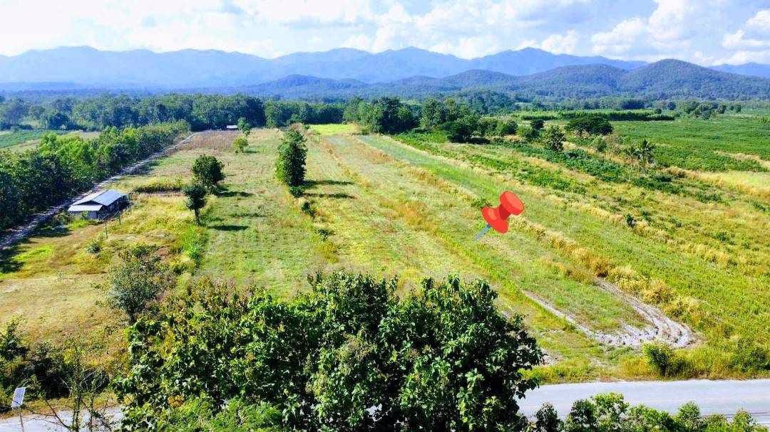 ที่โฉนด-อเมือง-ลำปาง-ไร่ละ-186960