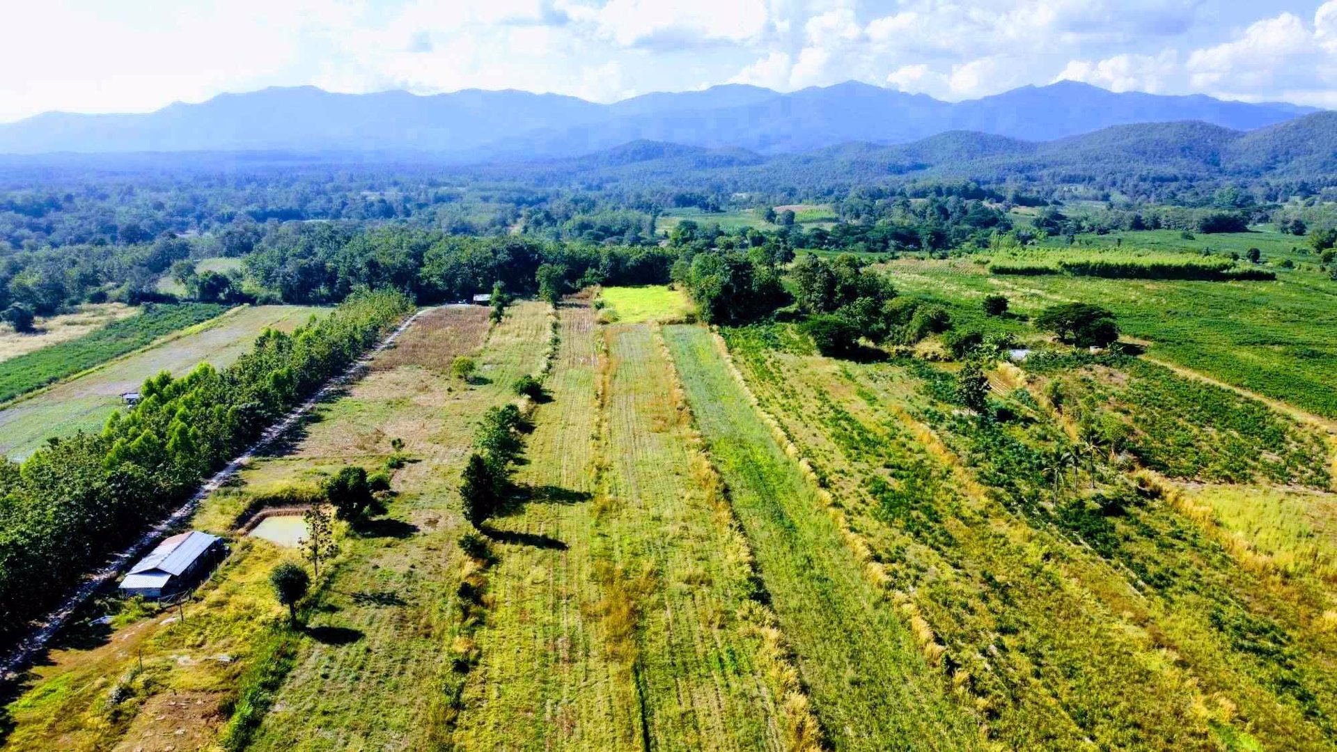 ที่โฉนด-อเมือง-ลำปาง-ไร่ละ-186960