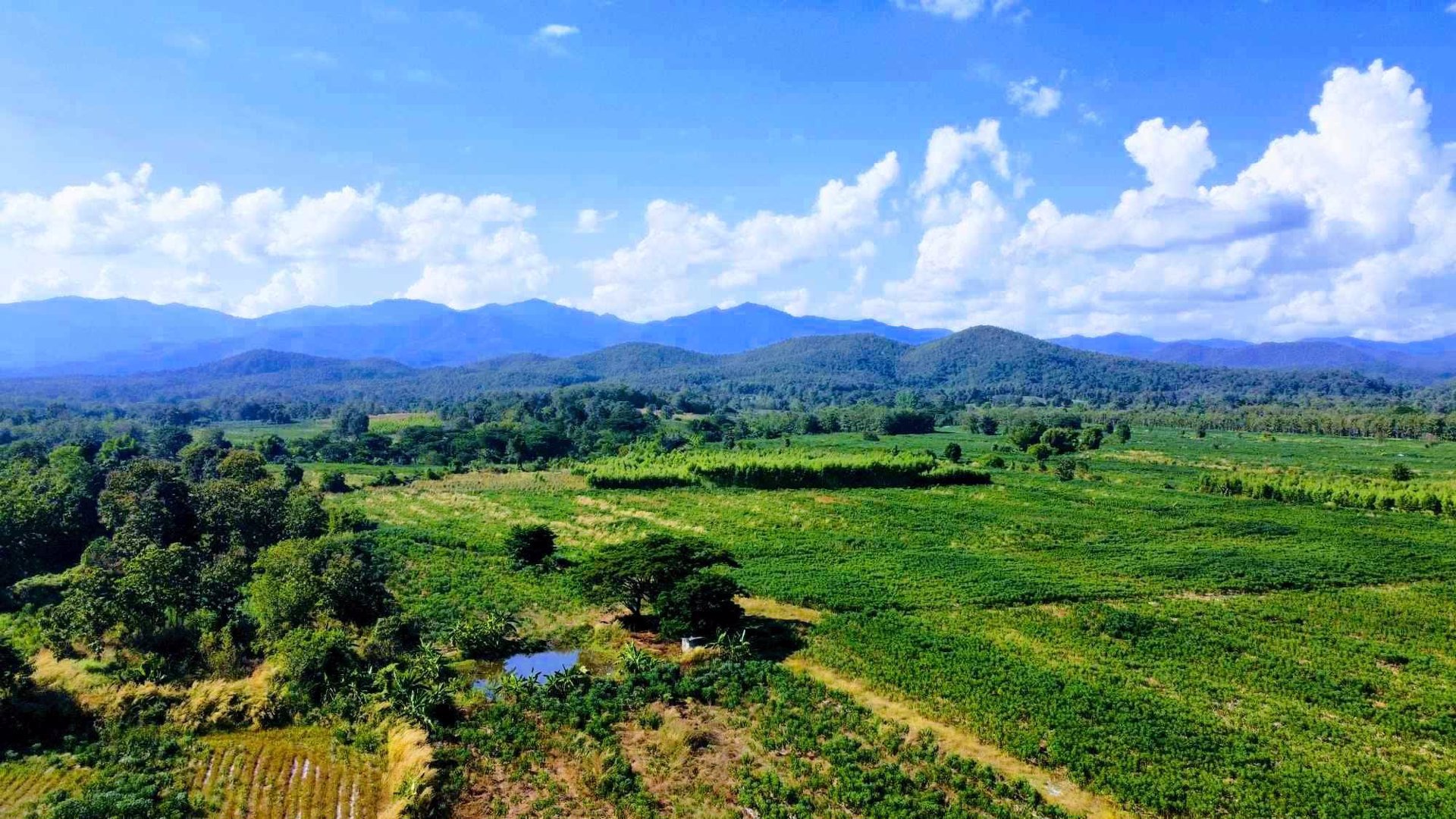 ที่โฉนด-อเมือง-ลำปาง-ไร่ละ-186960