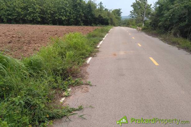 ขายที่ดินปลูกบ้านหรือทำการเกษตร-ใกล้คลองชลประทาน-ด้านหน้าติดถนนลาดยาง-จลำปาง-