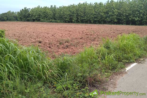 ขายที่ดินปลูกบ้านหรือทำการเกษตร-ใกล้คลองชลประทาน-ด้านหน้าติดถนนลาดยาง-จลำปาง-