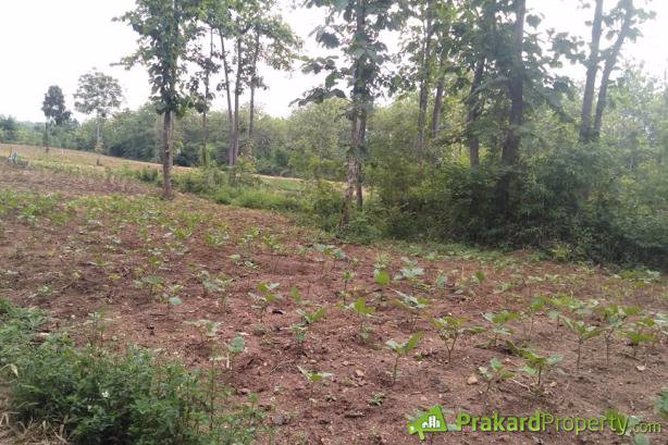 ขายที่ดินปลูกบ้านหรือทำการเกษตรทำเลสวย-อยู่ในเขตชุมชน-น้ำไฟสะดวก-จลำปาง-