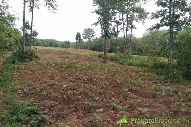 ขายที่ดินปลูกบ้านหรือทำการเกษตรทำเลสวย-อยู่ในเขตชุมชน-น้ำไฟสะดวก-จลำปาง-