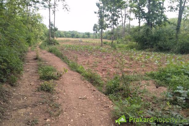 ขายที่ดินปลูกบ้านหรือทำการเกษตรทำเลสวย-อยู่ในเขตชุมชน-น้ำไฟสะดวก-จลำปาง-