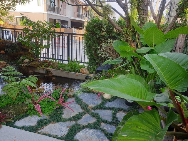 ขายถูกที่สุดในโครงการ-บ้านแฝดสไตล์บ้านเดี่ยว-หมู่บ้าน-พฤกษาวิลล์-57-พัฒนาการ-3844-6-300-000-บาท