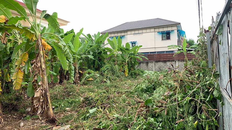 ขายที่ดินเปล่า-ทำเลดี-199-ตรว-สุขุมวิท101-1-วชิรธรรมสาธิต53-เขตพระโขนง-ใกล้bts-เจ้าของขายเอง