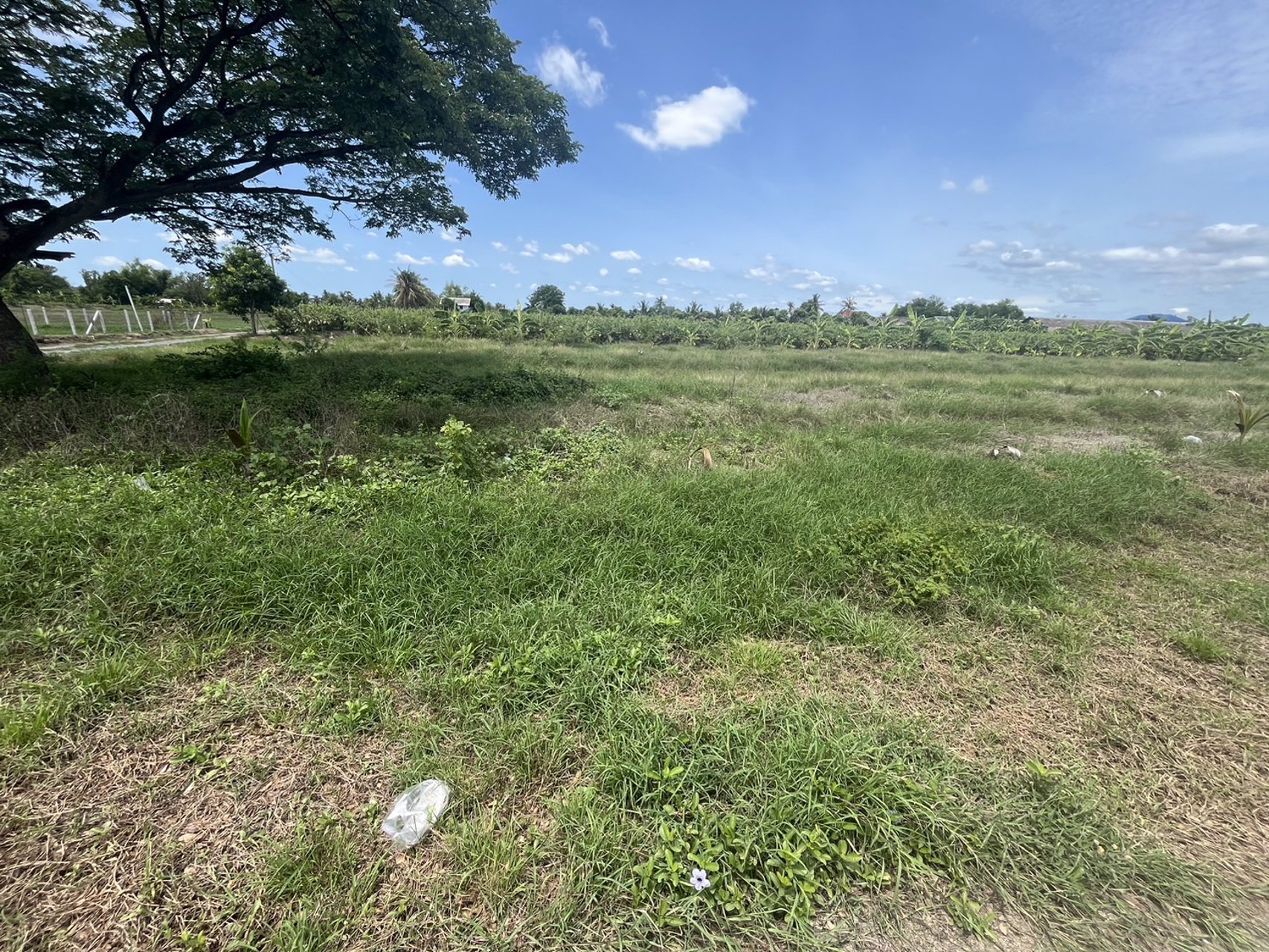 ท่านใดกำลังหาที่ดินเพื่อปลูกบ้าน-ทำสวน-ที่สวย-ทำเลดี