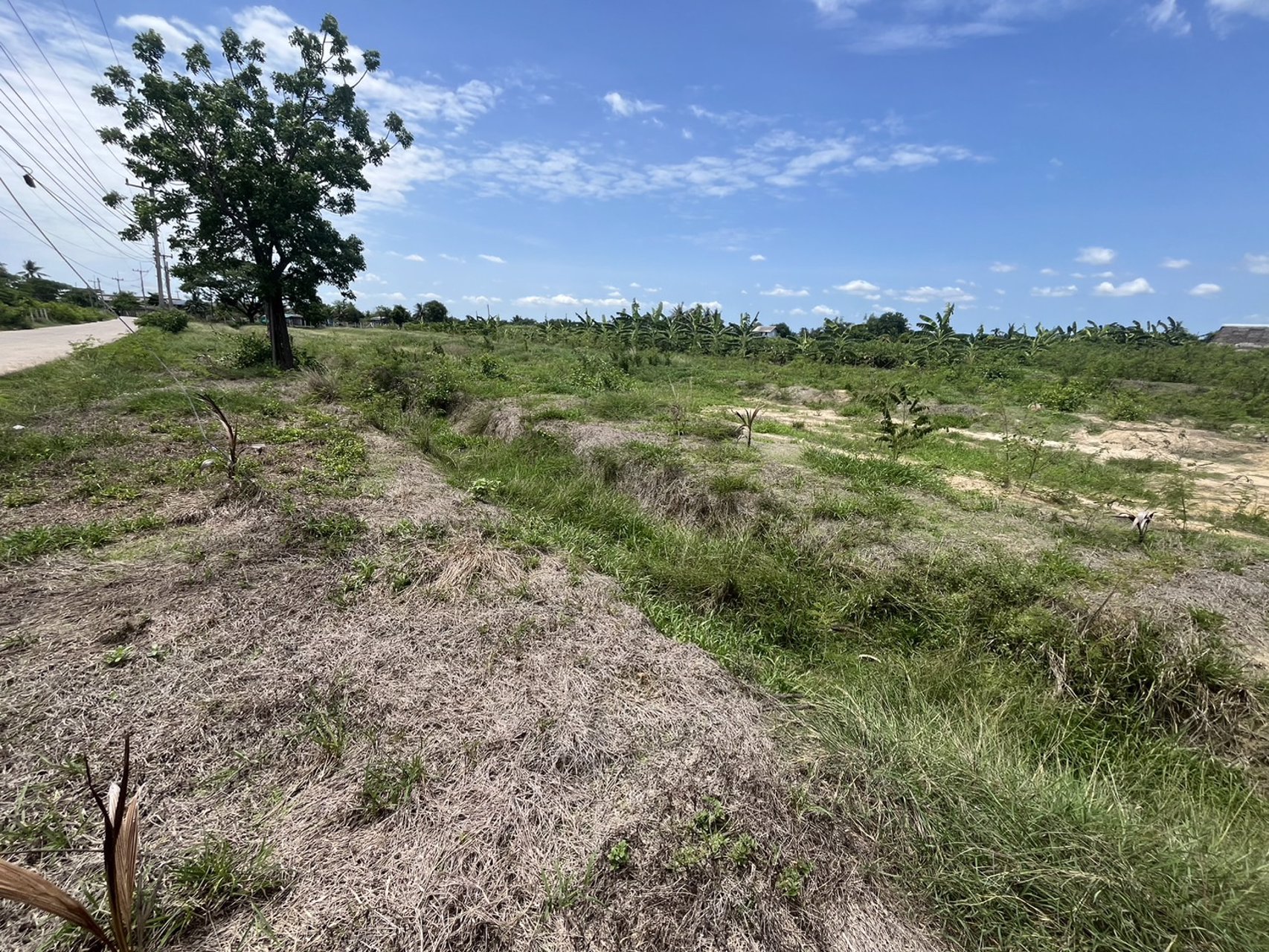 ท่านใดกำลังหาที่ดินเพื่อปลูกบ้าน-ทำสวน-ที่สวย-ทำเลดี