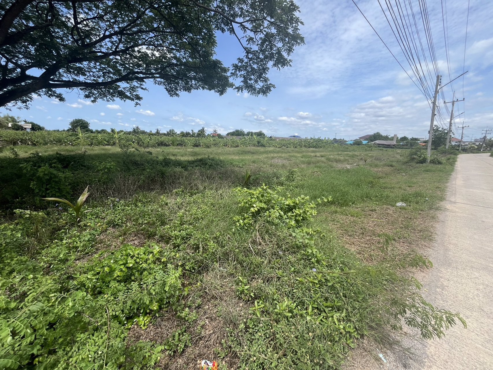 ท่านใดกำลังหาที่ดินเพื่อปลูกบ้าน-ทำสวน-ที่สวย-ทำเลดี