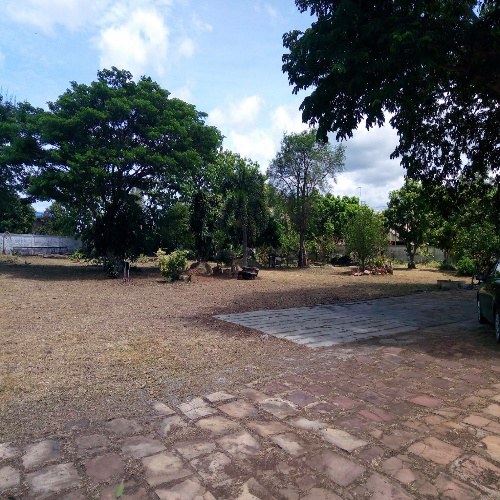 ขายบ้านพร้อมที่ดิน-อำเภอปากช่อง-4ไร่-ติดถนนสาธารณะสองด้าน-แปลงสี่เหลี่ยม-วิวเขาสวย-พร้อมอยู่