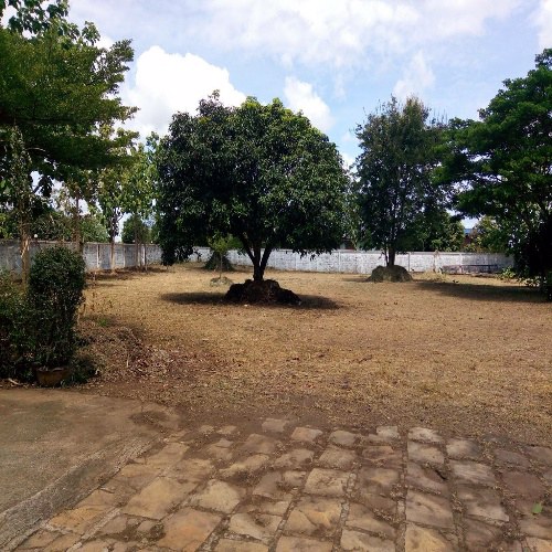 ขายบ้านพร้อมที่ดิน-อำเภอปากช่อง-4ไร่-ติดถนนสาธารณะสองด้าน-แปลงสี่เหลี่ยม-วิวเขาสวย-พร้อมอยู่