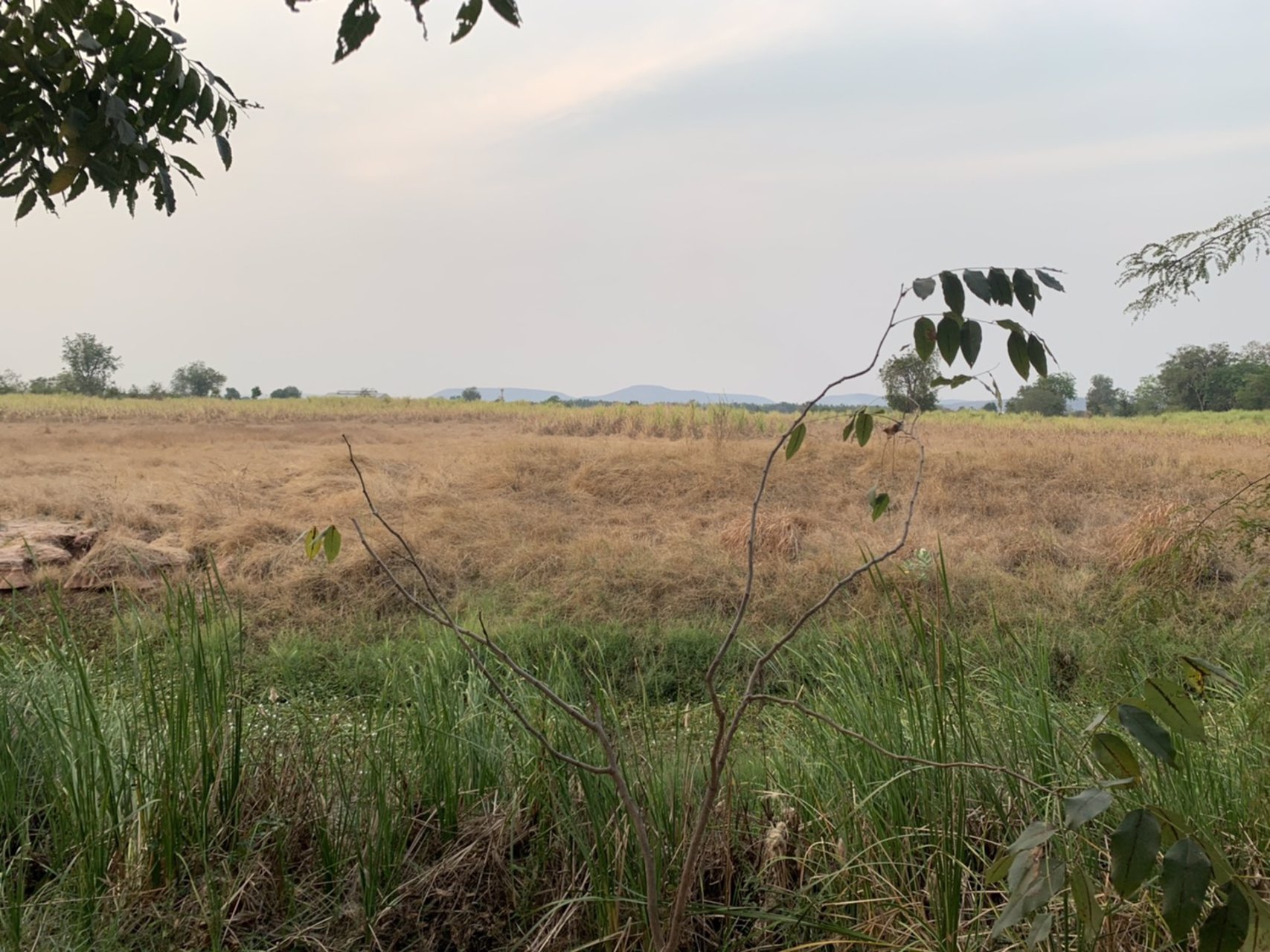 ขายที่ดิน-พัฒนานิคม-ลพบุรี-ซอย21-22