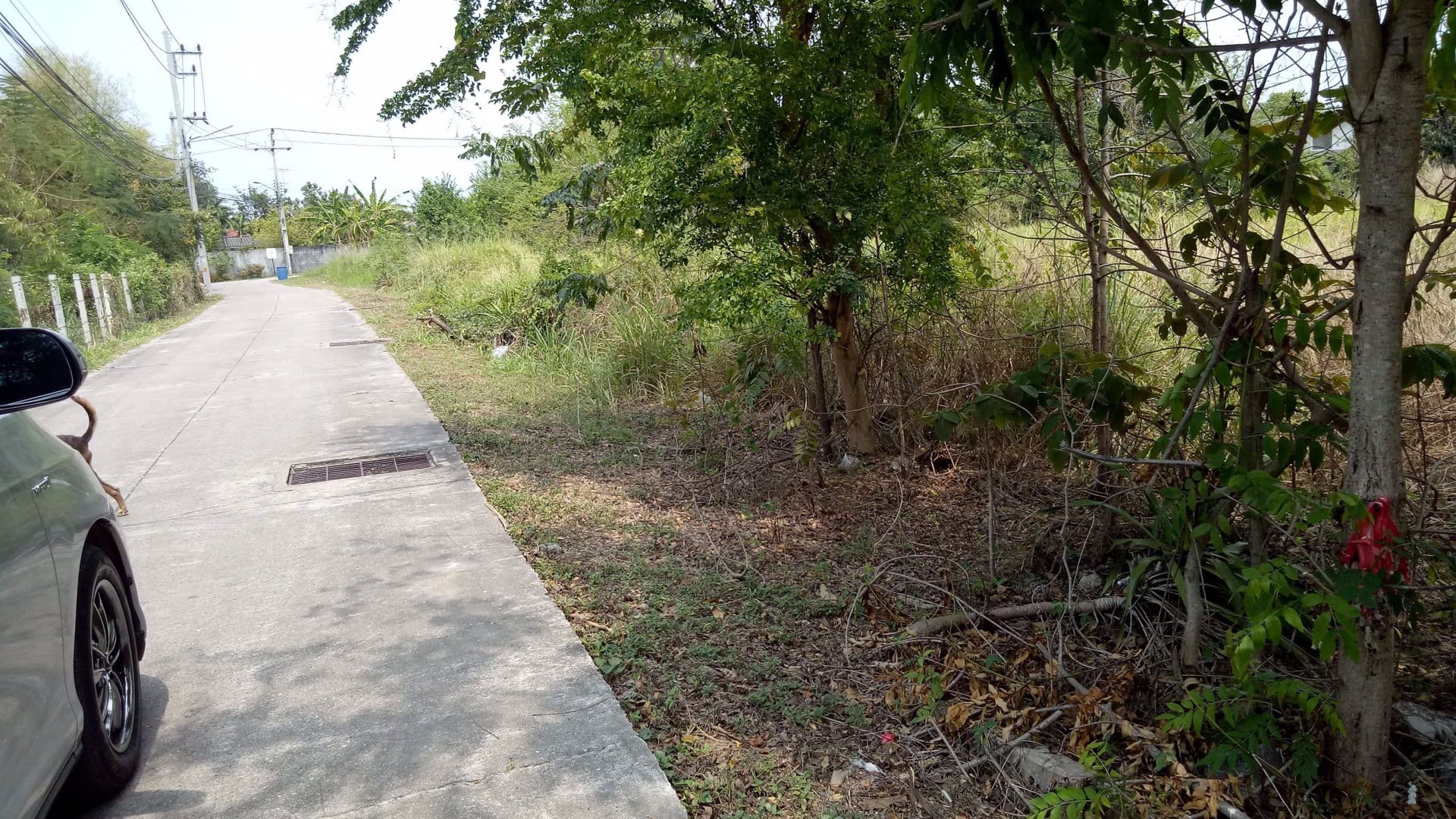 ขายที่ดินศรีราชาใกล้หาดกัปตันยุทธ์-259-ตรว-จชลบุรี