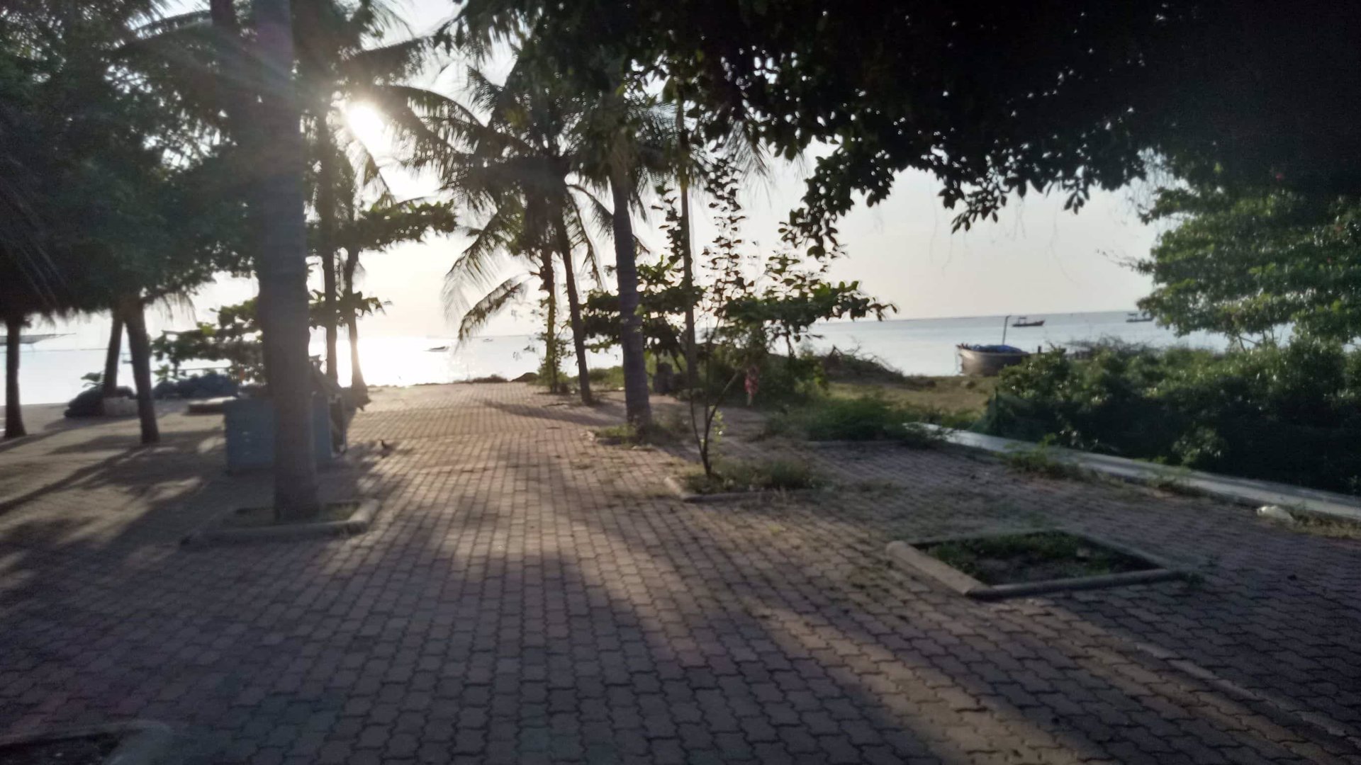 ขายที่ดินศรีราชาใกล้หาดกัปตันยุทธ์-259-ตรว-จชลบุรี