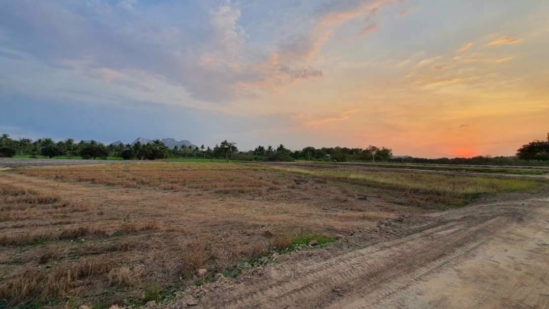 ขายที่ดินติดริมคลองชลประทาน-ถมแล้ว-อเมือง-จราชบุรี