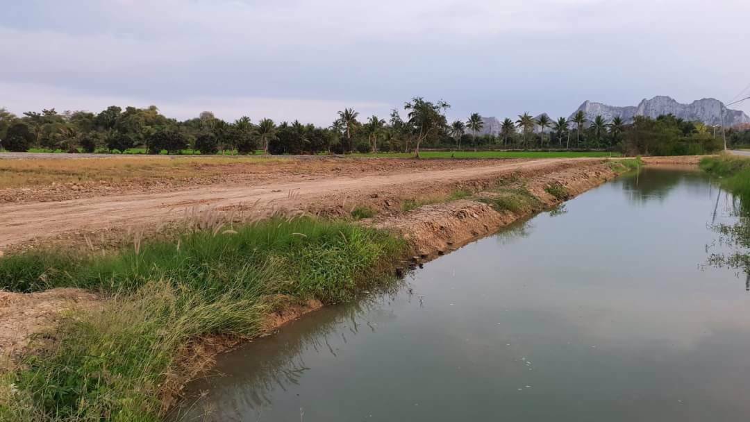 ขายที่ดินติดริมคลองชลประทาน-ถมแล้ว-อเมือง-จราชบุรี