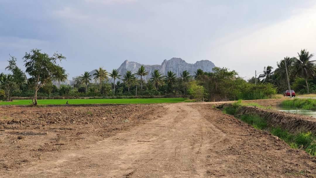 ขายที่ดินติดริมคลองชลประทาน-ถมแล้ว-อเมือง-จราชบุรี