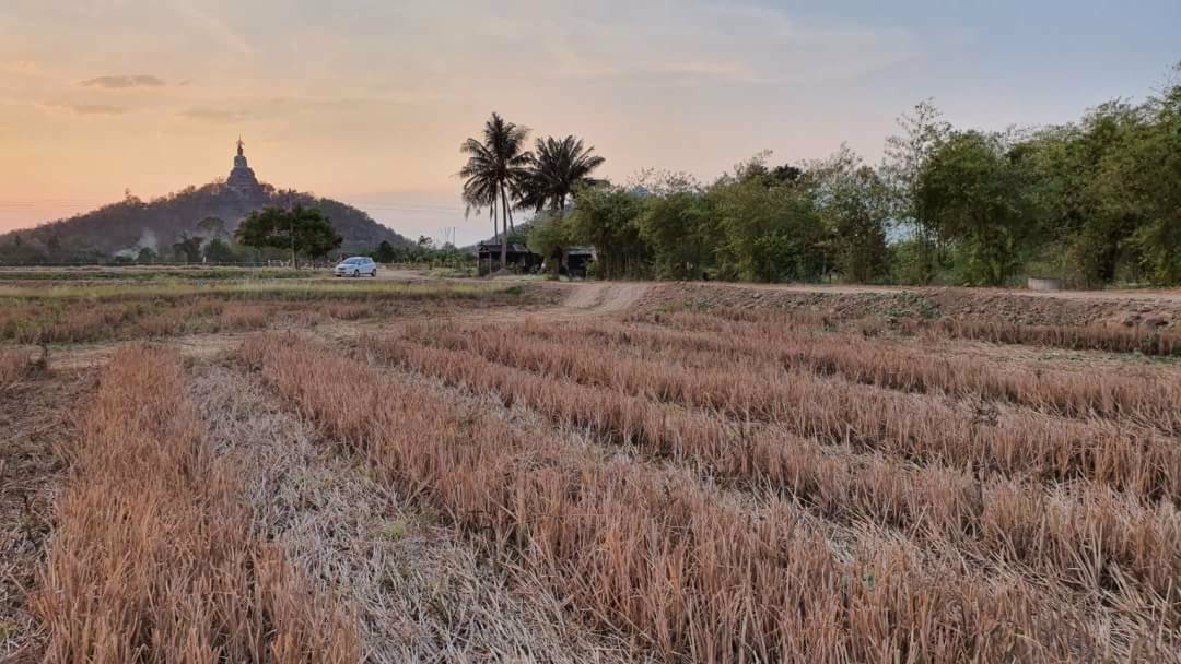 ขายที่ดินติดริมคลองชลประทาน-ถมแล้ว-อเมือง-จราชบุรี