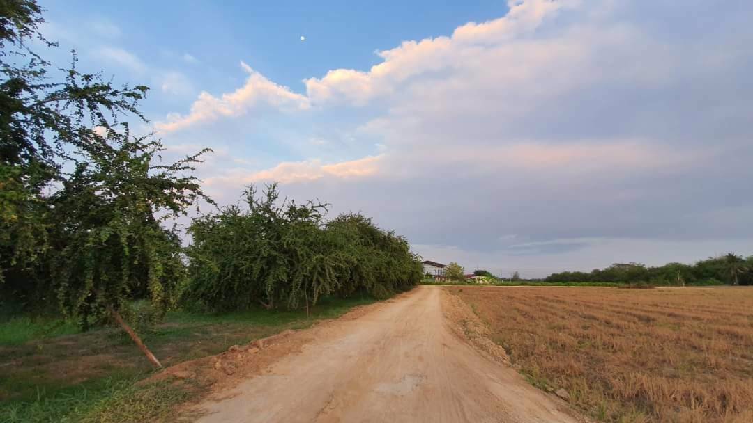 ขายที่ดินติดริมคลองชลประทาน-ถมแล้ว-อเมือง-จราชบุรี