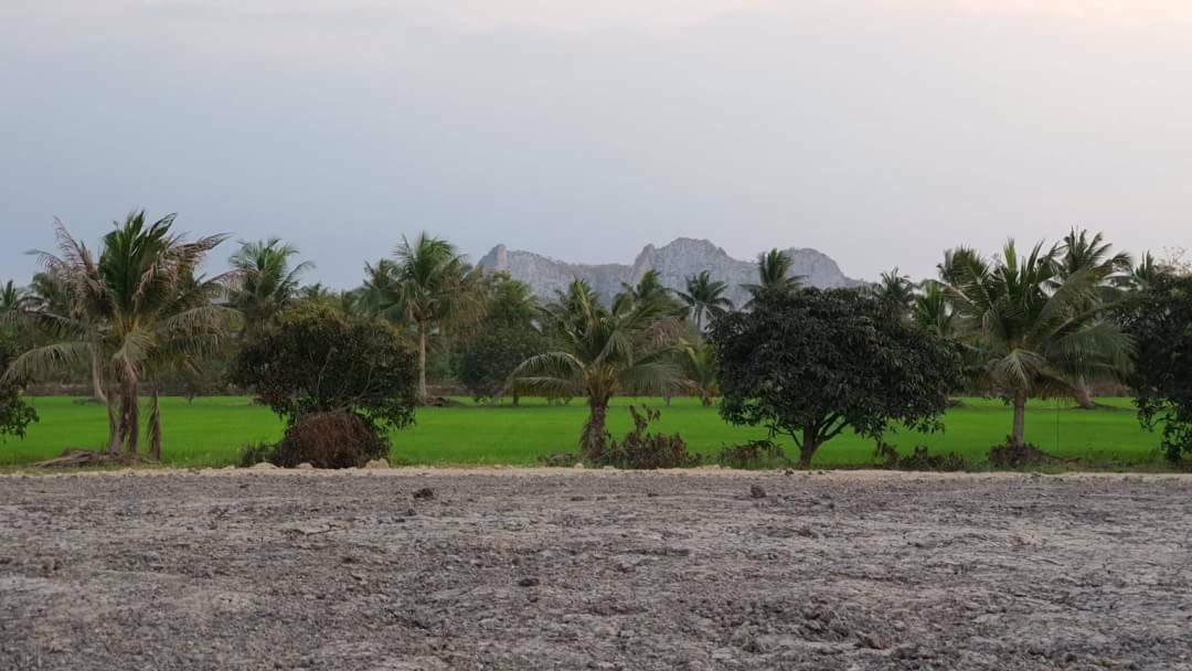 ขายที่ดินติดริมคลองชลประทาน-ถมแล้ว-อเมือง-จราชบุรี