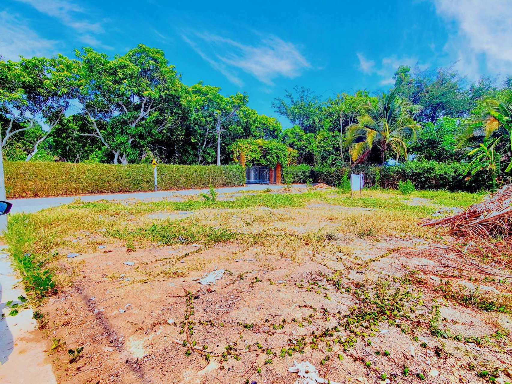 ขายที่ดิน-เนื้อที่-126-ตารางวา-อสันทราย-จเชียงใหม่