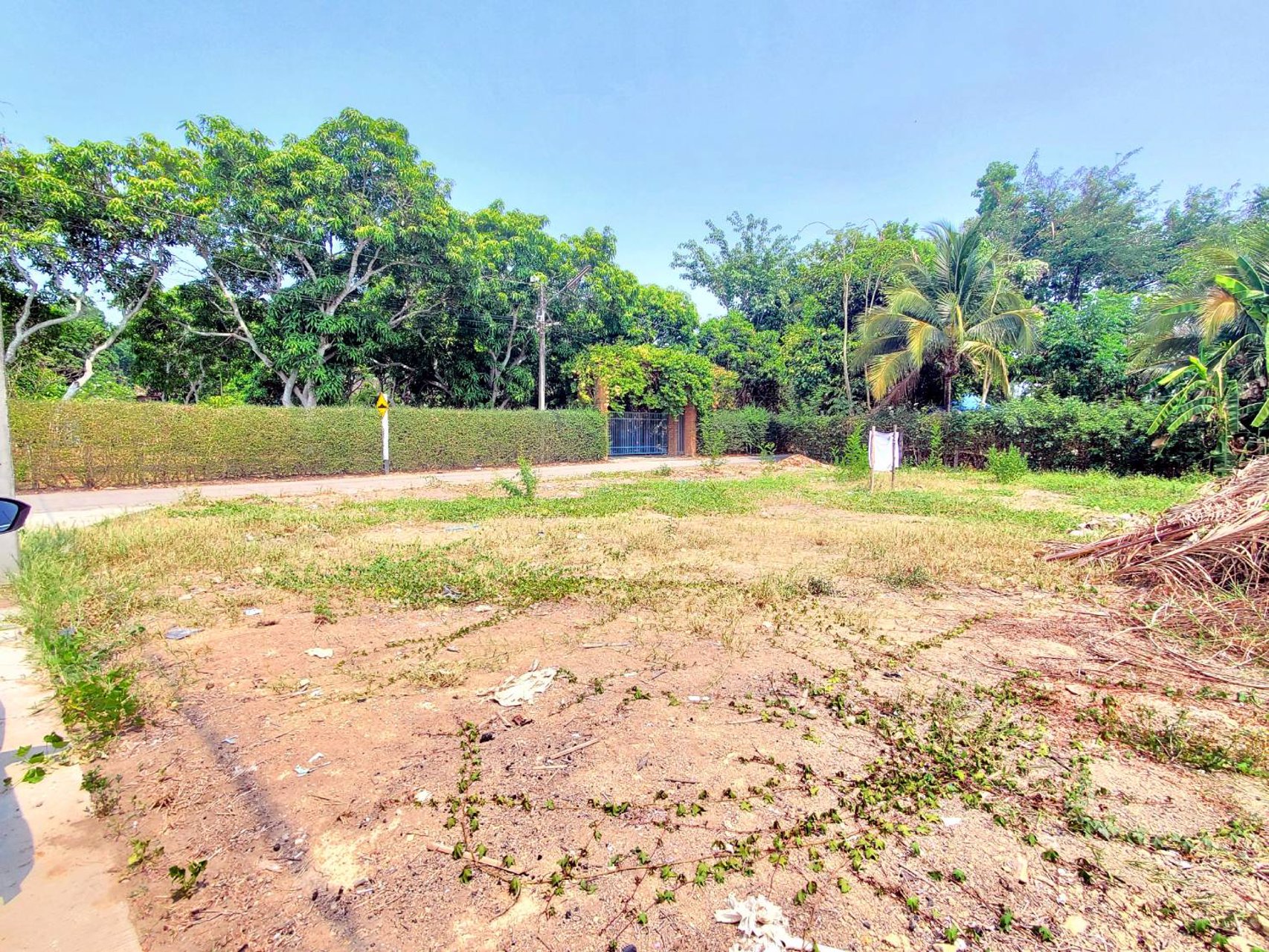 ขายที่ดิน-เนื้อที่-126-ตารางวา-อสันทราย-จเชียงใหม่