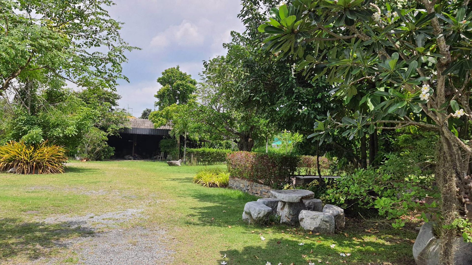 ขายที่ดิน-พร้อมสิ่งปลูกสร้าง-กิจการร้านอาหาร-พร้อมดำเนินกิจการต่อได้ทันที-เจ้าของขายเอง-