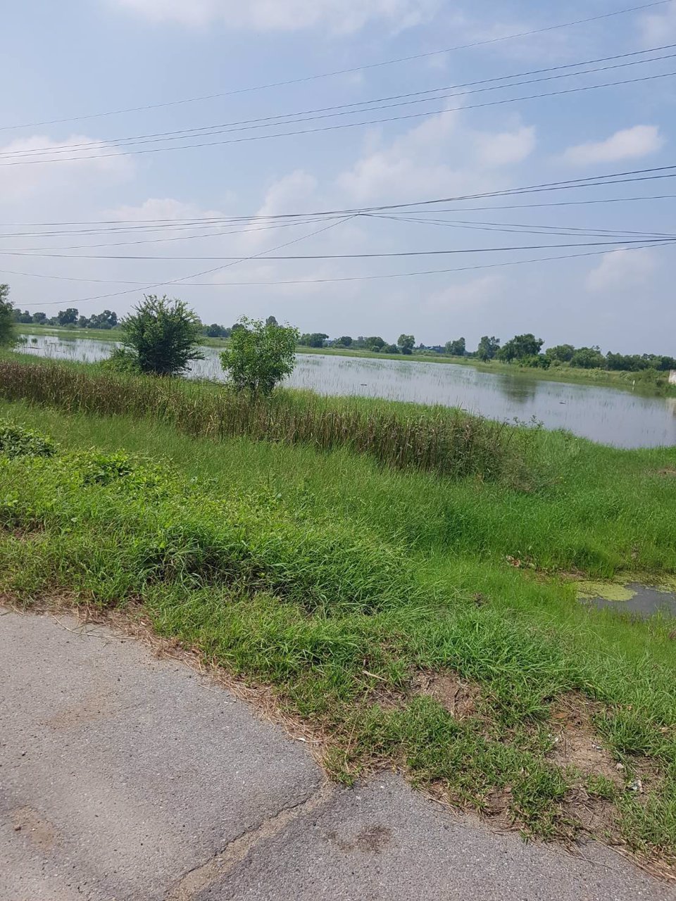 ขายที่ดินอยุธยา-ใกล้ถนนเลี่ยงเมืองอยุธยา