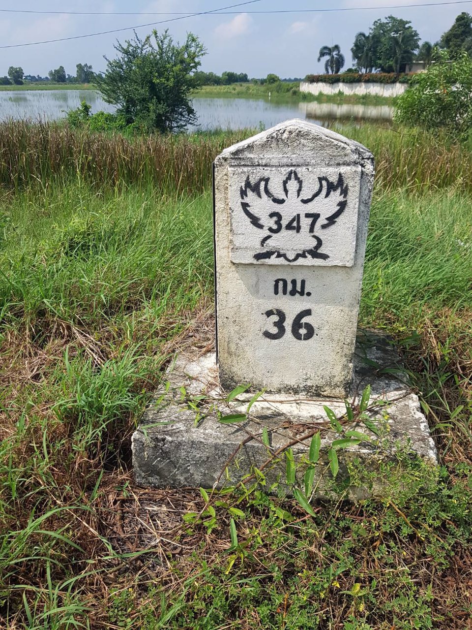 ขายที่ดินอยุธยา-ใกล้ถนนเลี่ยงเมืองอยุธยา