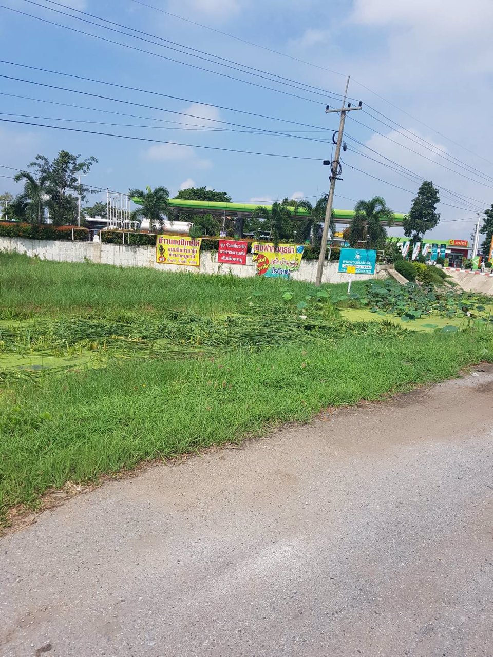 ขายที่ดินอยุธยา-ใกล้ถนนเลี่ยงเมืองอยุธยา