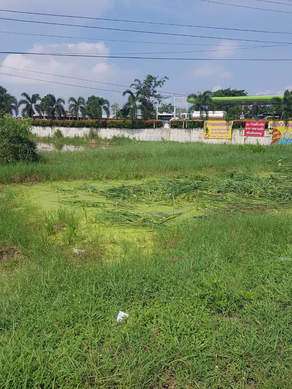 ขายที่ดินอยุธยา-ใกล้ถนนเลี่ยงเมืองอยุธยา