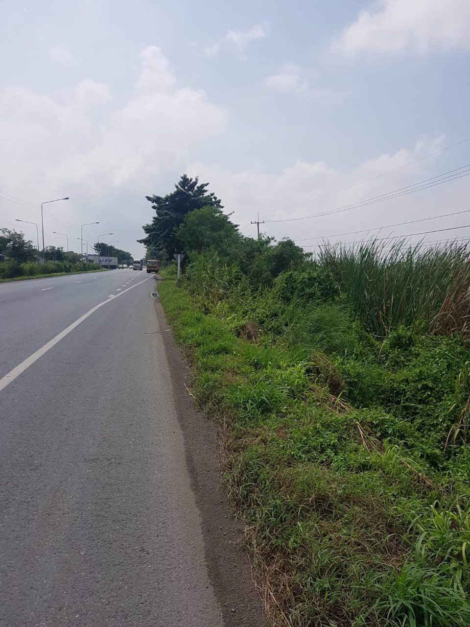 ขายที่ดินอยุธยา-ใกล้ถนนเลี่ยงเมืองอยุธยา