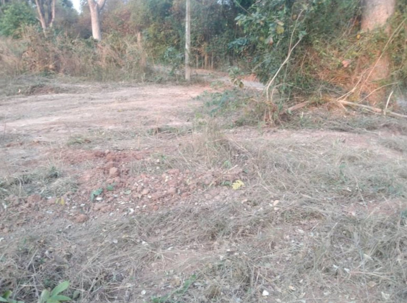 ขายที่ดินทางขึ้นเขาสวนสัตว์ขอนแก่น-เหมาะทำบ้าน