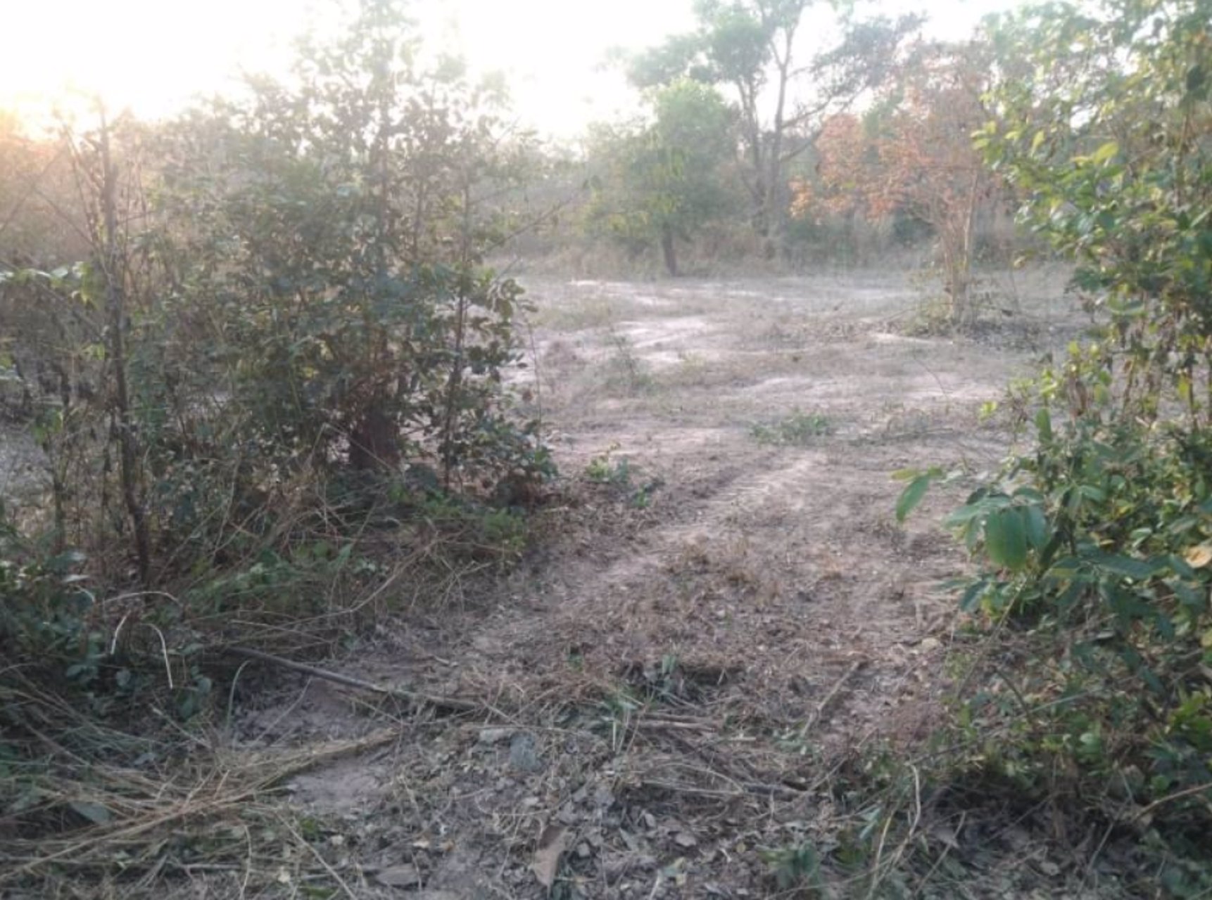 ขายที่ดินทางขึ้นเขาสวนสัตว์ขอนแก่น-เหมาะทำบ้าน