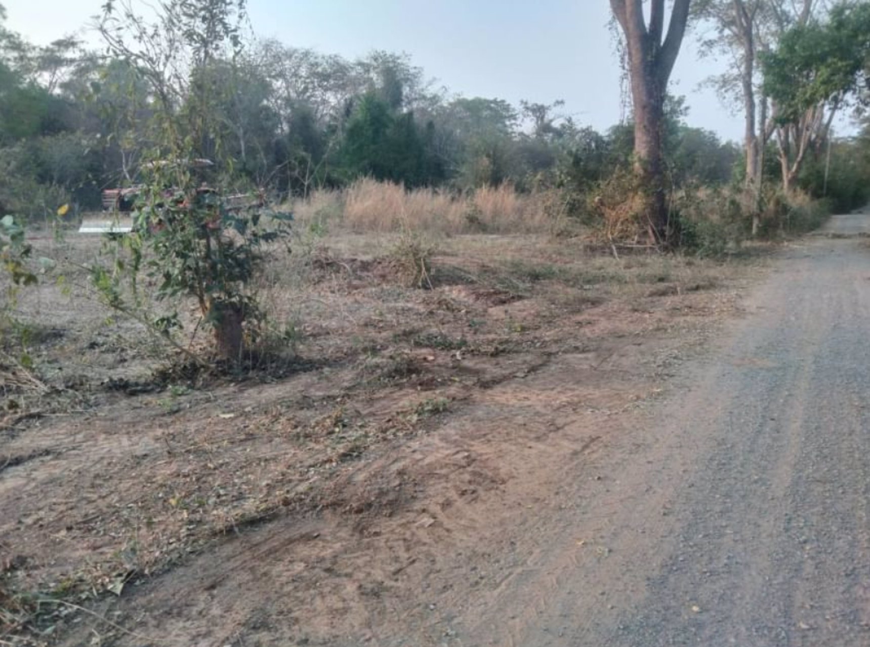 ขายที่ดินทางขึ้นเขาสวนสัตว์ขอนแก่น-เหมาะทำบ้าน