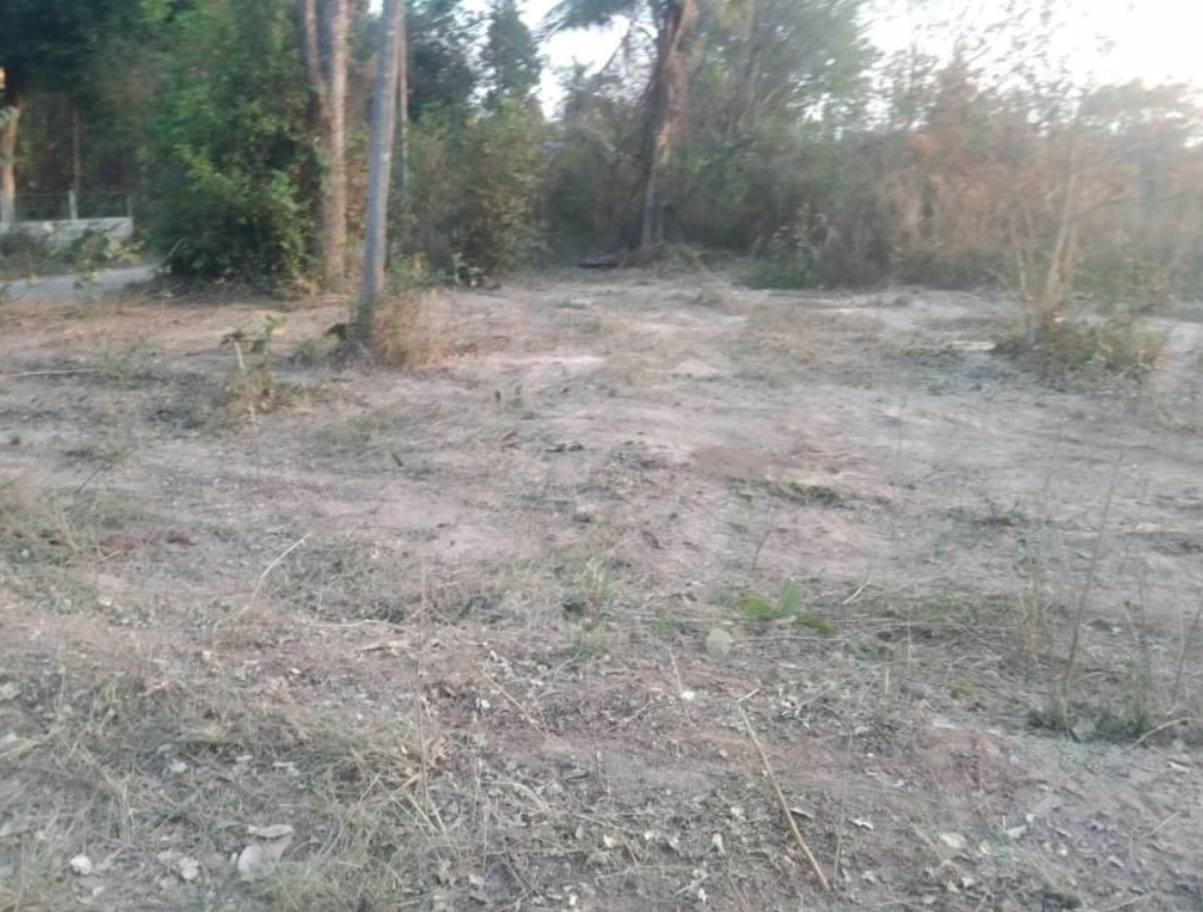 ขายที่ดินทางขึ้นเขาสวนสัตว์ขอนแก่น-เหมาะทำบ้าน