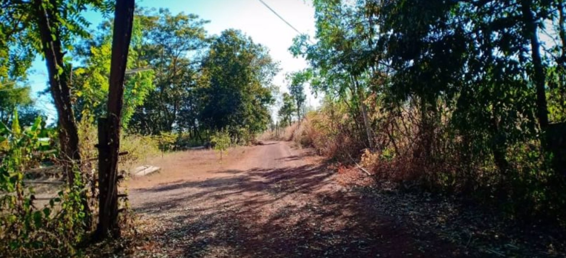 ขายที่ดินโฉนด-100ตรว-ใกล้โรงเรียนบ้านหนองปลาขาว-500เมตร