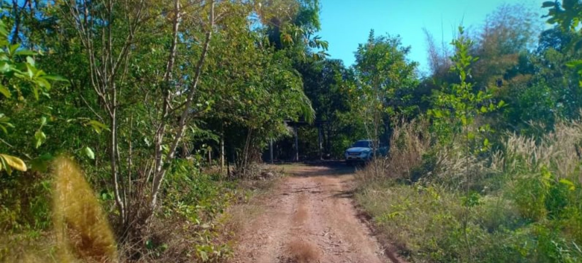 ขายที่ดินโฉนด-100ตรว-ใกล้โรงเรียนบ้านหนองปลาขาว-500เมตร