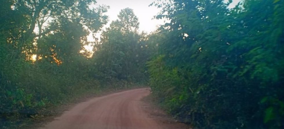 ขายที่ดินโฉนด-100ตรว-ใกล้โรงเรียนบ้านหนองปลาขาว-500เมตร