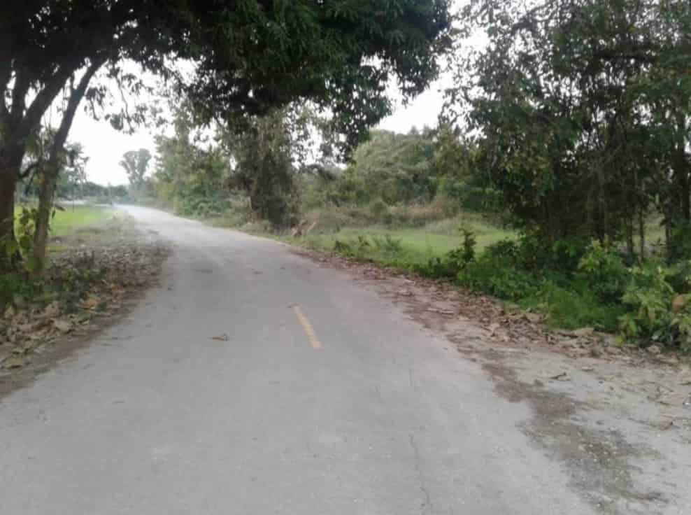 ขายที่ดิน-10ไร่-3งาน-48-ตรว