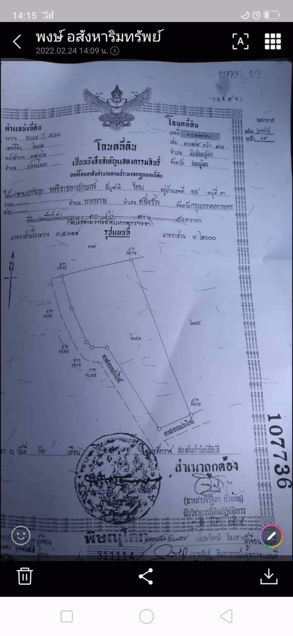 ขายที่ดิน-10ไร่-3งาน-48-ตรว
