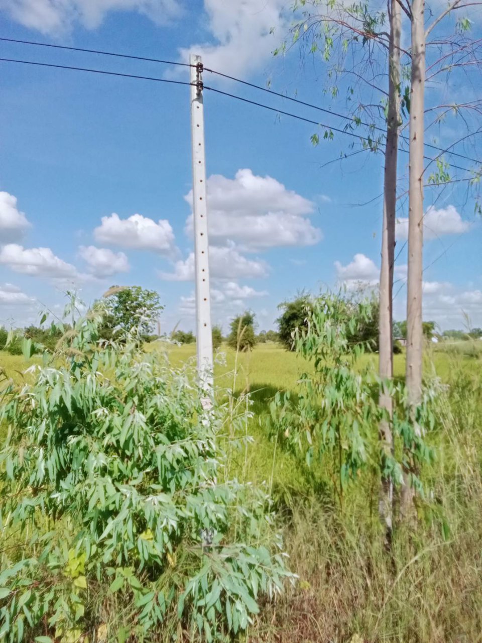 ด่วน-ขายที่ดินสวยเหมาะทำโคกหนองนา-อเมือง-จร้อยเอ็ด