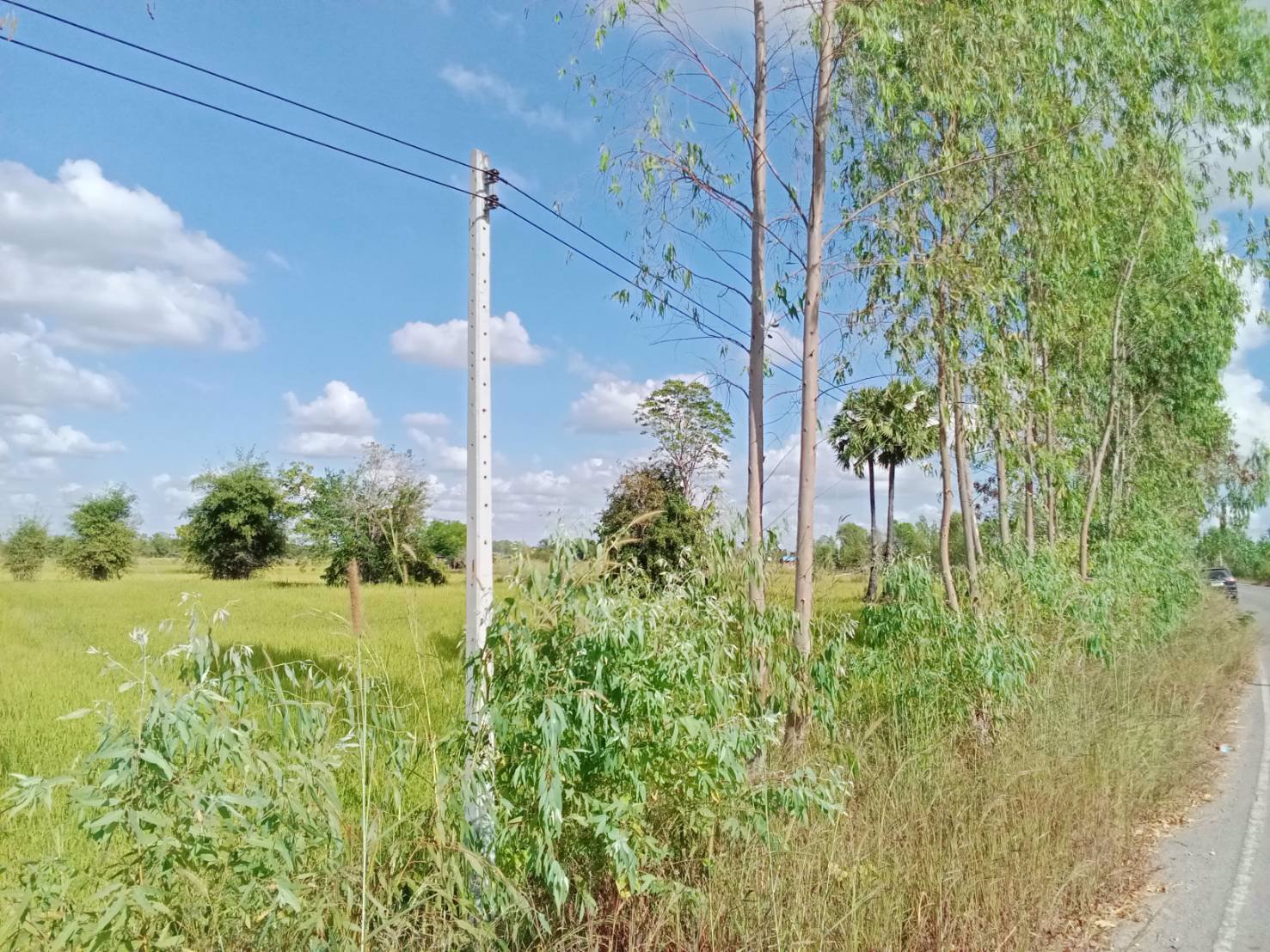 ด่วน-ขายที่ดินสวยเหมาะทำโคกหนองนา-อเมือง-จร้อยเอ็ด